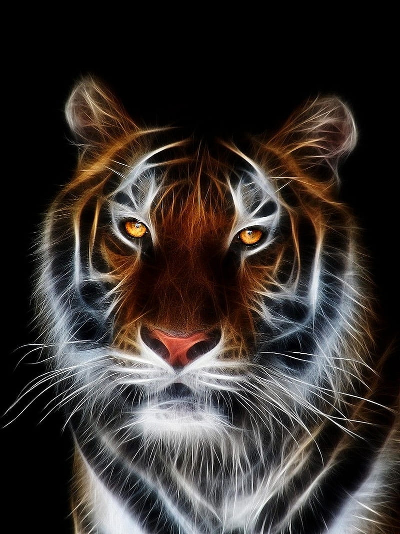 Hd Fire Tiger Wallpapers | Peakpx