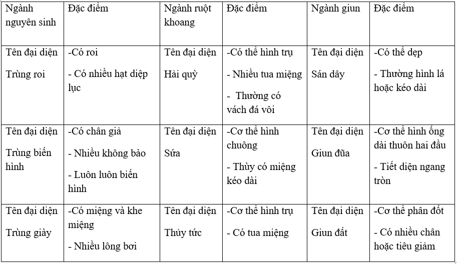 Giải Vbt Sinh Học 7 Bài 30: Ôn Tập Phần 1 - Động Vật Không Xương Sống |  Giải Vở Bài Tập Sinh Học 7 Hay Nhất Tại Vietjack