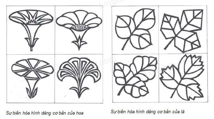 Soạn Mĩ Thuật Lớp 7 Bài 3: Vẽ Trang Trí – Tạo Họa Tiết Trang Trí | Âm Nhạc  Và Mỹ Thuật Lớp 7