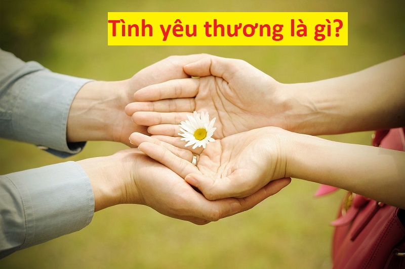 Tình Yêu Đẹp Là Gì? Thế Nào Là Một Tình Yêu Đẹp? - September Studio