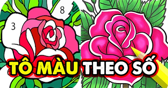 Game Tô Màu Theo Số - Game Vui