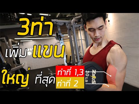 3 ท่าเพิ่มกล้ามหน้าแขน (Biceps) ใหญ่สุด ดีสุด (มีเทคนิคเคล็ดไม่ลับ)