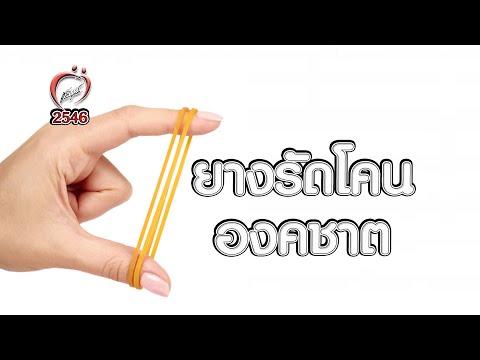 ยางรัดโคนองคชาต - ชูรักชูรส ep 132