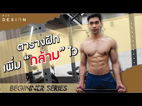 ตารางฝึกเพื่อสร้างกล้าม สำหรับมือใหม่อยากมีกล้าม [BEGINNER SERIES EP.1]