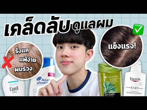 Hair Care เหล่านี้เหมาะกับคุณจริงหรอ? แก้ปัญหาศีรษะคัน รังแค ผมร่วงอย่างถูกวิธี