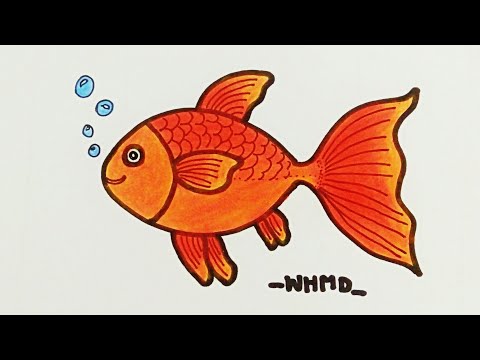 วาดรูปปลา ปลาทอง Drawing a goldfish