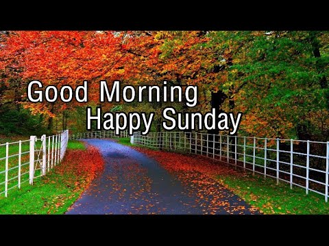 Happy Sunday Good Morning Wishes Quotes Whatsapp msg #happysunday images download #goodmorningstatus