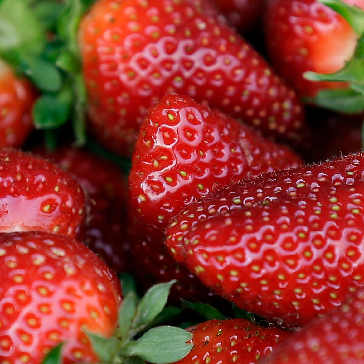 Fresh Strawberries Linked To Hepatitis A Outbreak, F.D.A Says - The New  York Times