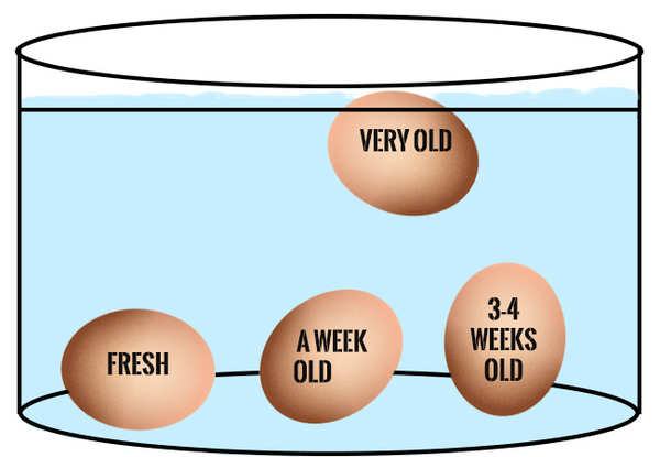 How To Tell If Your Eggs Are Fresh Or Have Expired - Times Of India