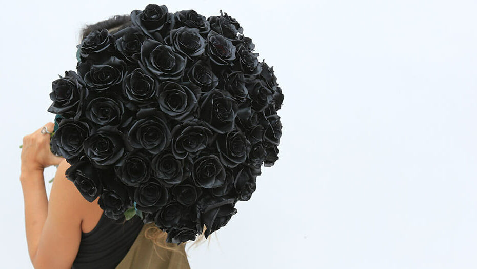 What Is The Meaning Of Black Roses? – Rosaholics