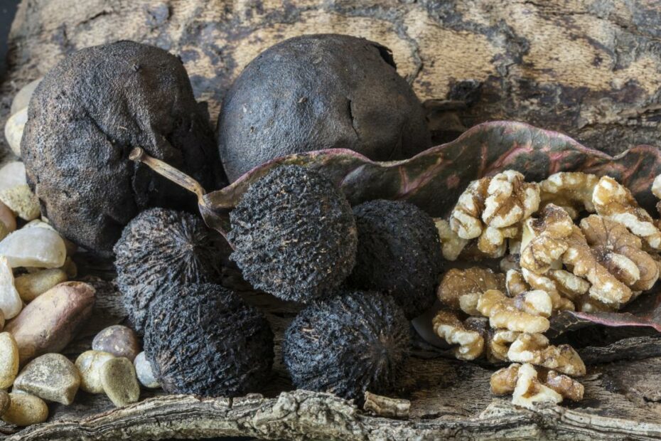 Black Walnut Benefits And Side Effects