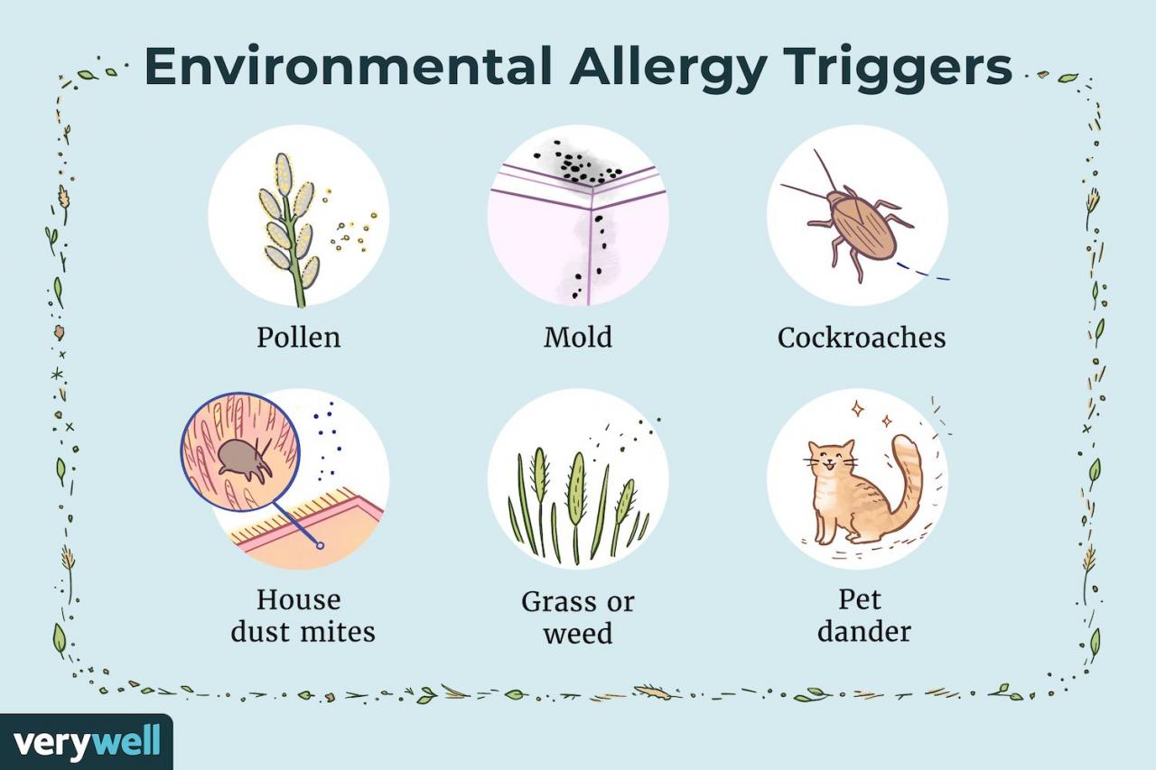 Environmental Allergies: Causes, Symptoms, And More