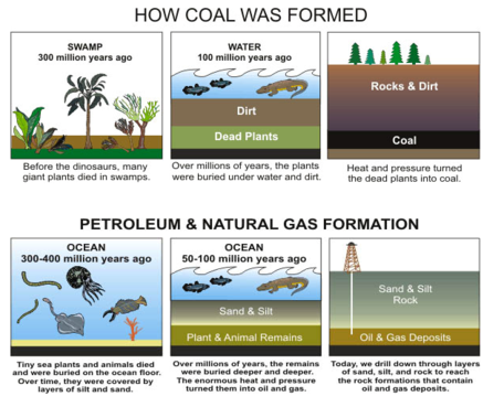 1D: Fossil Fuels, Hydrocarbons, And Co2