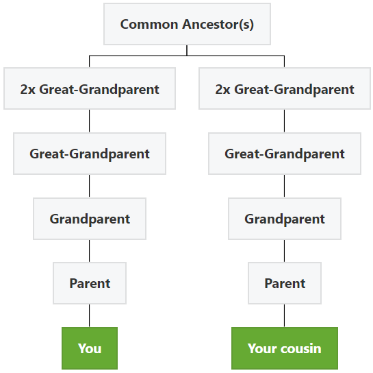 What Is A Fourth Cousin? - Genealogy Explained