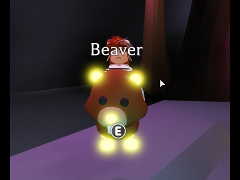 How A Mega Beaver Looks Like @ Adopt Me Roblox - Youtube