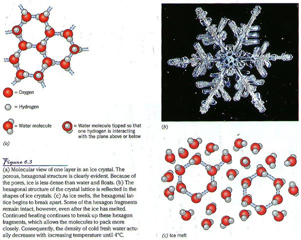 Why Does A Snowflake Only Ever Have Six Sides? - Quora