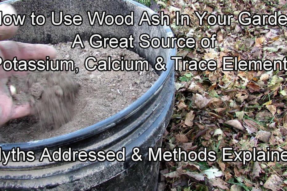 How To Use Wood Ash In Your Vegetable Garden: Myths Addressed & Methods  Explained - Potassium! - Youtube