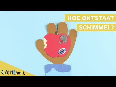 Hoe ontstaat schimmel op je eten?