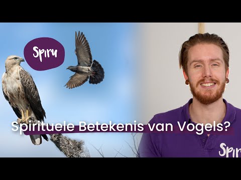 #21 Ken jij De Spirituele Betekenis van deze Vijf Vogels? | Boodschappen van Boven