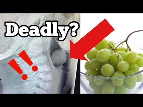 HOW TO CUT GRAPES CORRECTLY TO PREVENT CHOKING IN BABIES AND TODDLERS