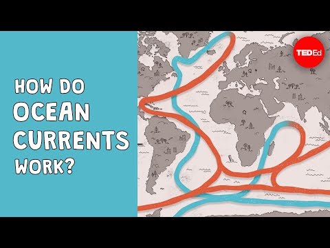 How do ocean currents work? - Jennifer Verduin