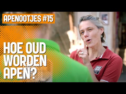 Apenootjes #15: Hoe oud worden apen?