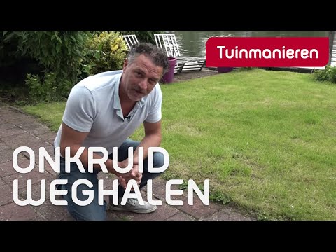 Hoe kom je van onkruid tussen de bestrating af? | Tuinmanieren