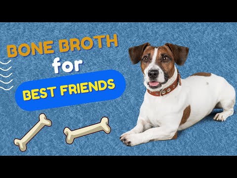 Bone Broth for Dogs