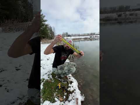 ALWAYS check ice thickness before skating 🏒