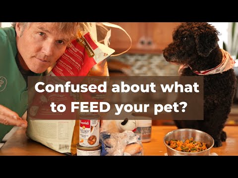 Why They Confuse You About What to Feed your Pet