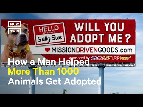 Pet Adoption’s New Marketing Tool? Billboards